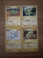 Pokémon Diverse Karten