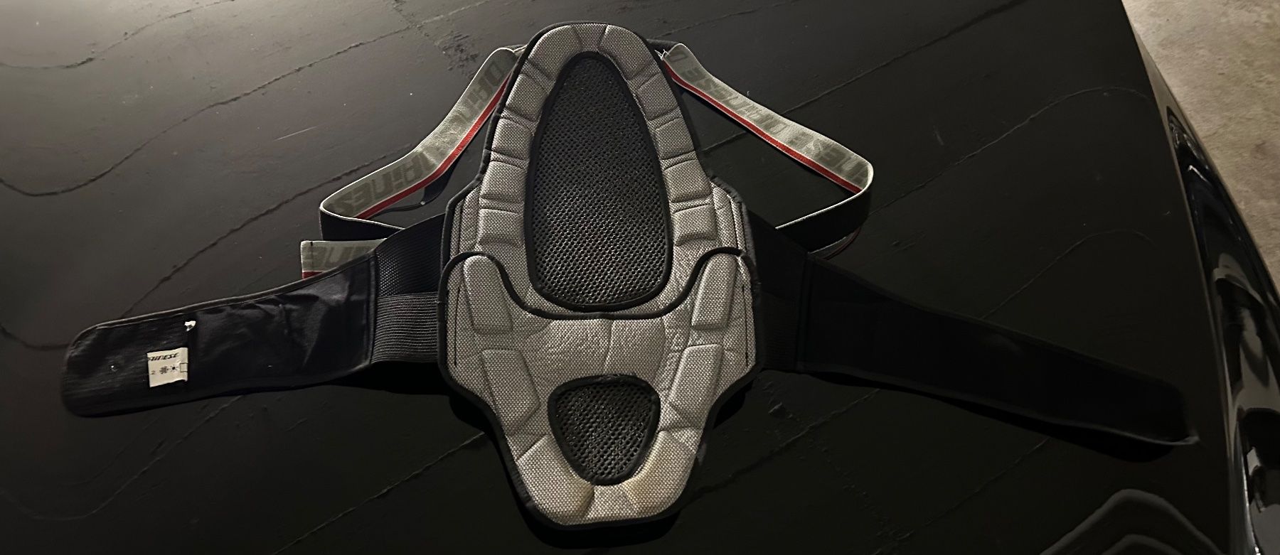 Dainese Protezioni & Imbottiture: Paraschiena Dainese – Usato da Langnau Am Albis venduto da raf_hrh2 2