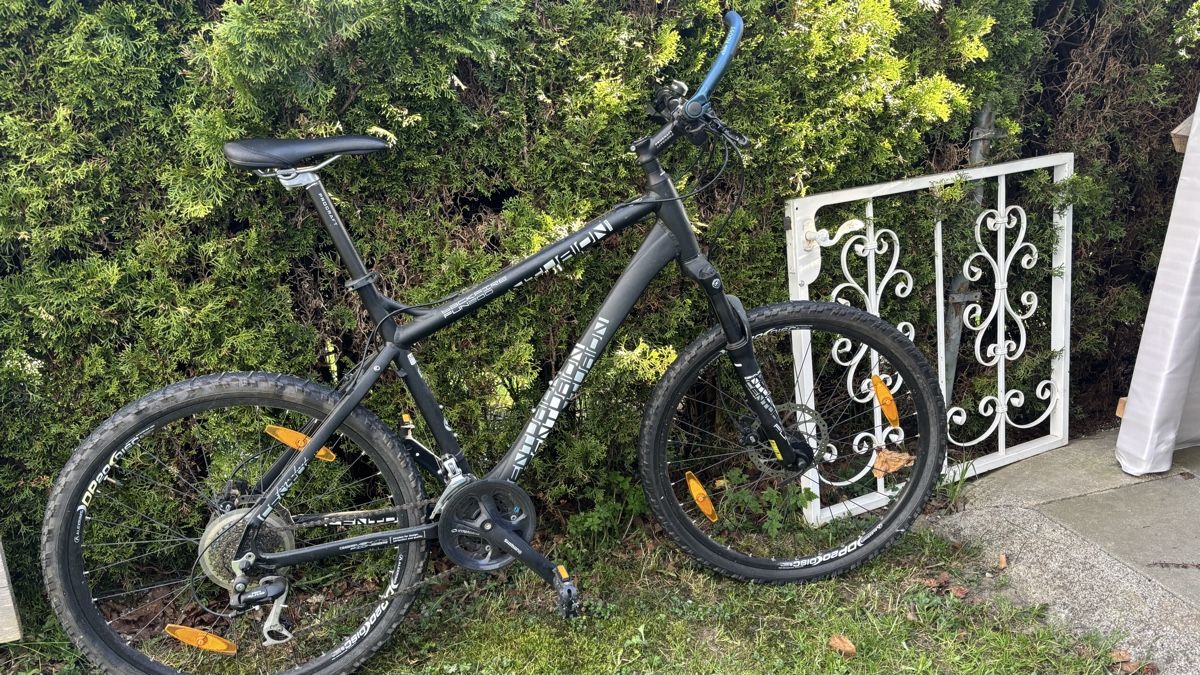 Biciclette: Centurion Mountainbike – Usato da Bühler venduto da Shila10 1