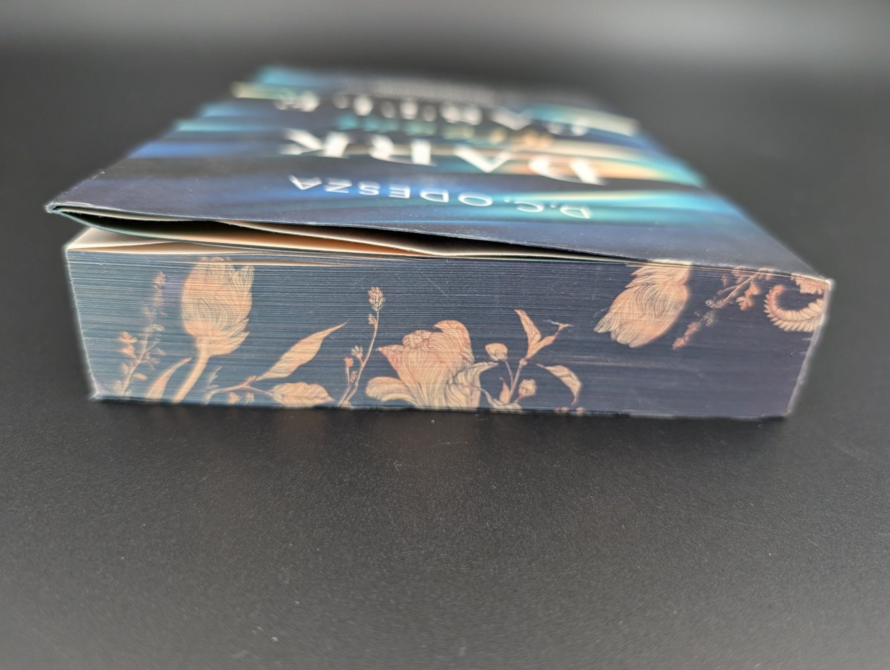 Livres: D.C. Odesza: Dark Dream Castle – D'occasion à Wiezikon b.Sirnach par CaRo_Second 6