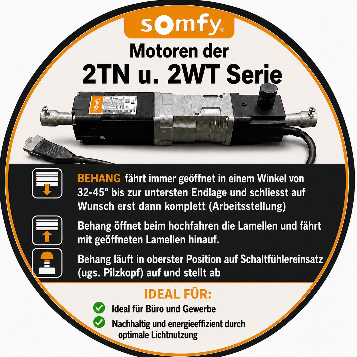 Somfy Tende da sole: Somfy J418 2WT absolute Neuware Storen Motor – Nuovo e nell'imballaggio originale da Zürich venduto da Shalashaska 2