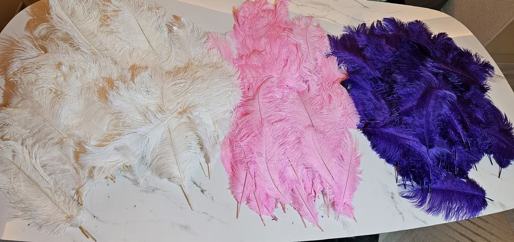 Gefärbte hochwertig Federn Echtfeder Weiss, Rosa und Violett 1