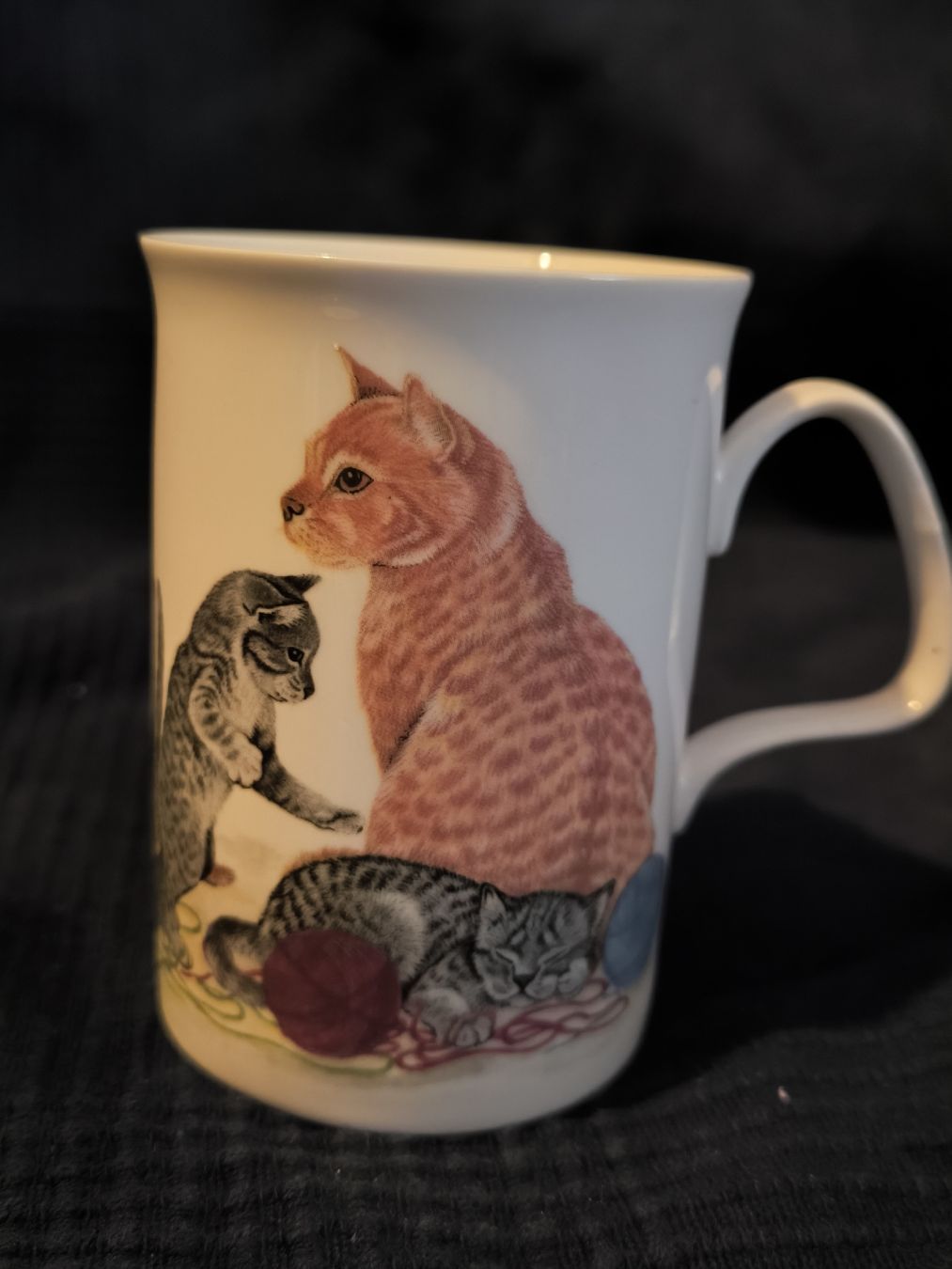 Tazze: tasse a thé, Roy Kirkham, England, Cat – Usato da Nyon venduto da mgg_gg9j 2