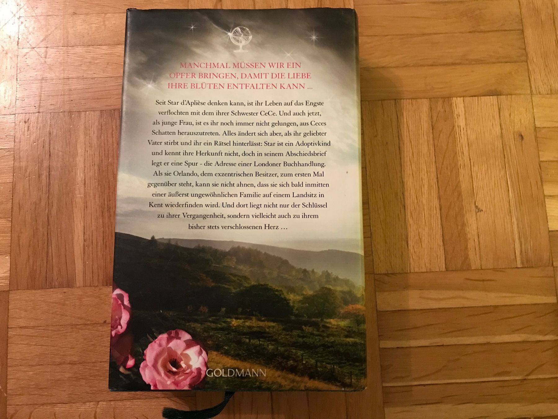 Libri: Lucinda Riley - Die Schatten Schwester – Usato da Emmenbrücke venduto da Hathor123 1