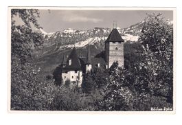 Ansichtskarte Schloss Spiez mit Bergpanorama, Vintage