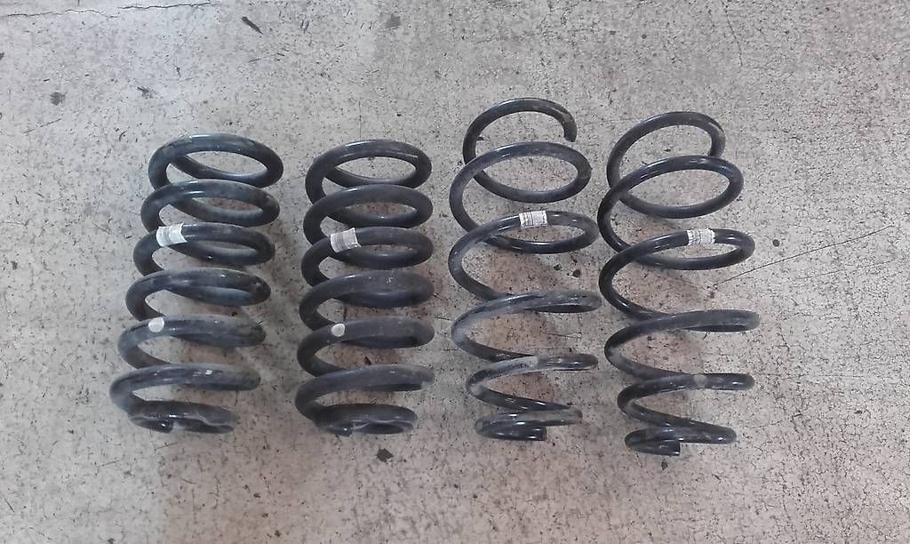 Il mondo degli animali: Federnsatz original Opel Insignia OPC Cvan – Usato da Huttwil venduto da kadett_78 3