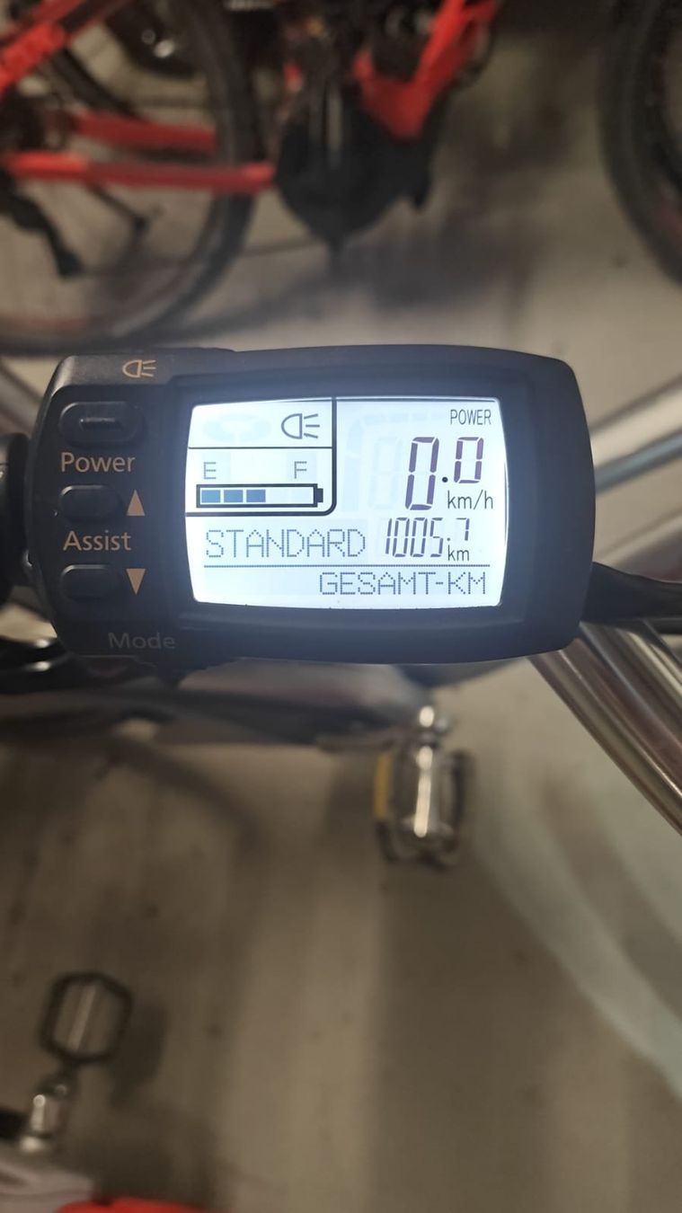 Flyer Biciclette: Wenig KM Flyer eBike – Usato da stallikon venduto da Dalacoke 8