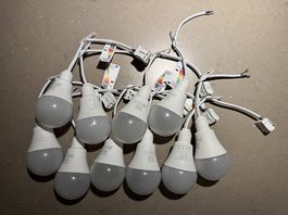Baustellenlampe LED Max Hauri