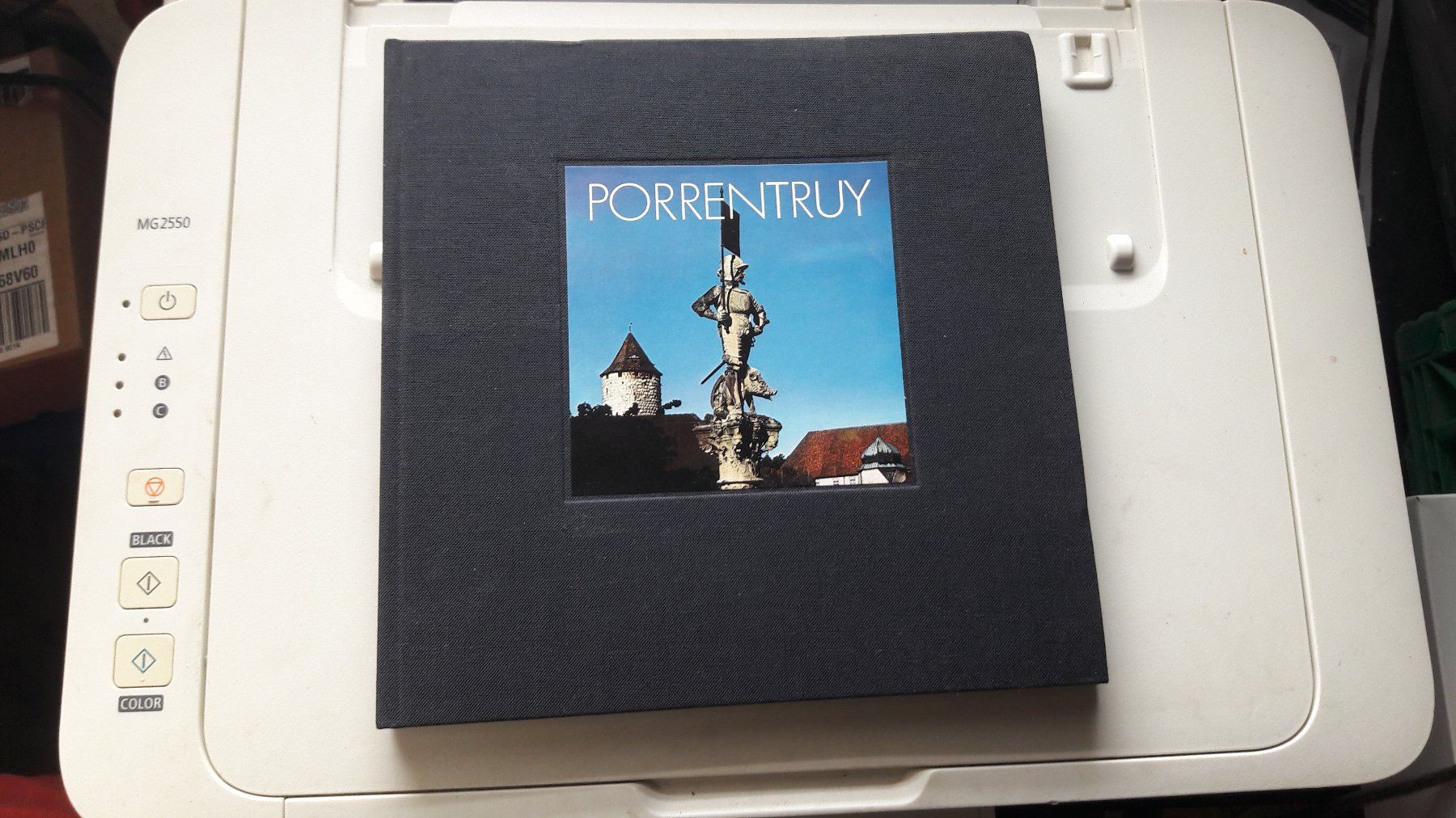 Libri: Livre Porrentruy – Usato da Laufen venduto da Mann455