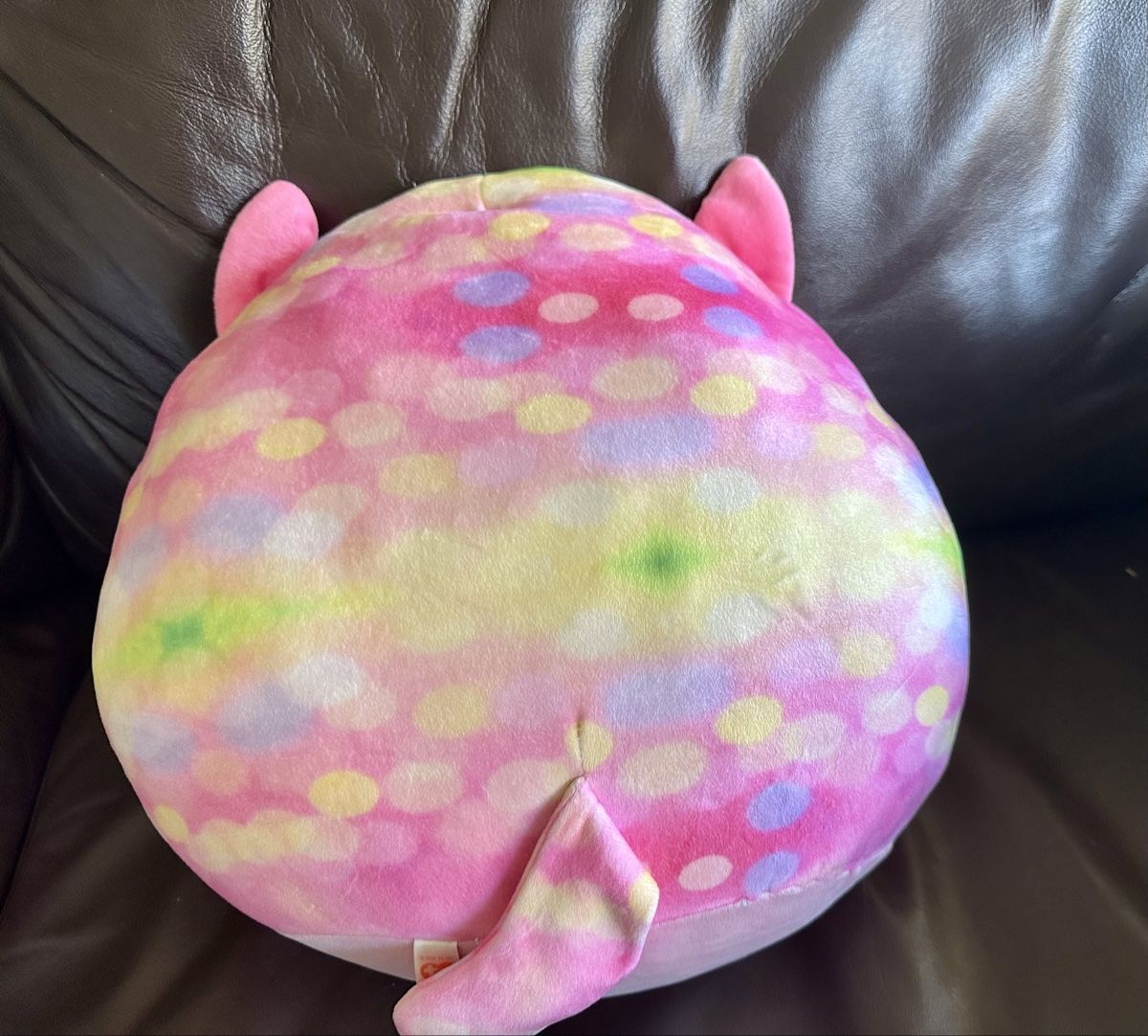 Ty Giocattoli: Set de deux peluches TY "squishmalow" – Usato da Gilly venduto da otiik 2