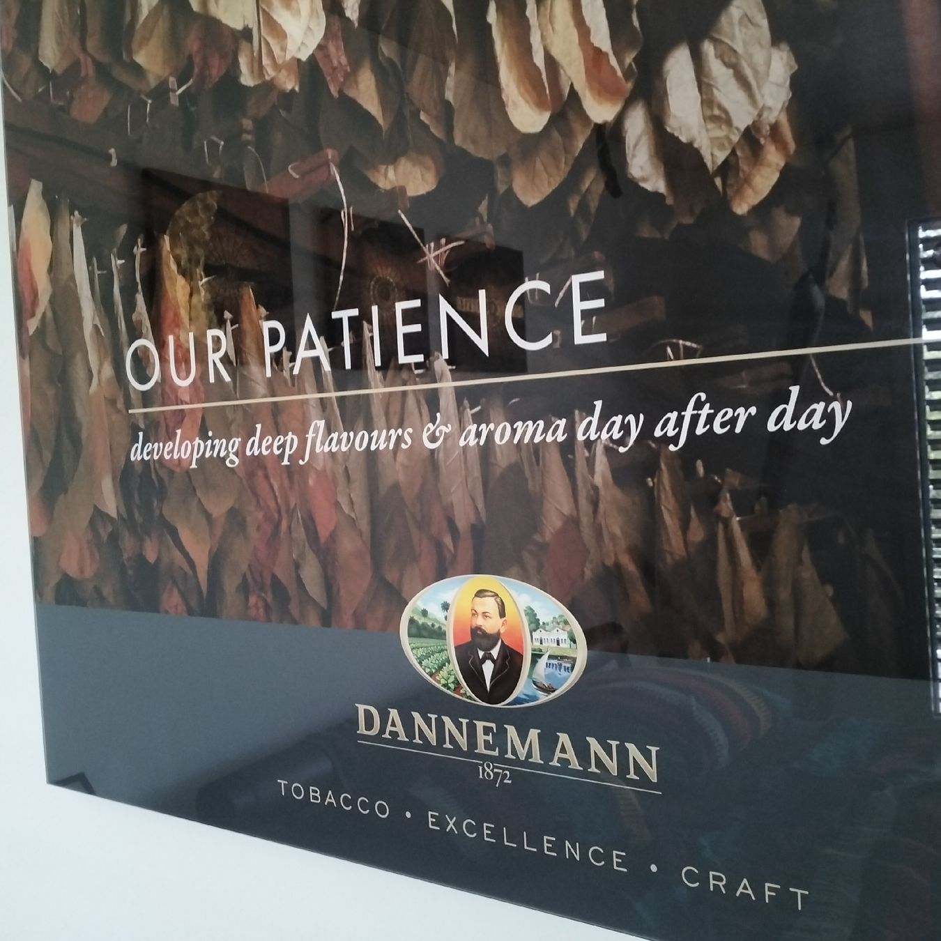 Foto & Immagini: Dannemann Bild "Tabak", exklusiv original Dannemann Zigarren – Usato da Leimbach AG venduto da Heiliger_Bam_Bim 1