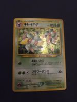 Joliflor NO.182 Neo Genesis Japenese