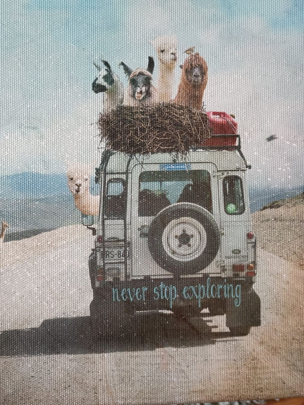 Foto & Immagini: Alpaka-Leinwandbild "Never stop exploring" ca. 30x20cm – Usato da Winterthur venduto da Tenderizer3000 2