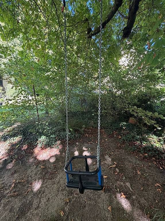 Altre altalene da giardino: Kleinkinder Schaukel – Usato da Zürich venduto da sch_jj6n 2
