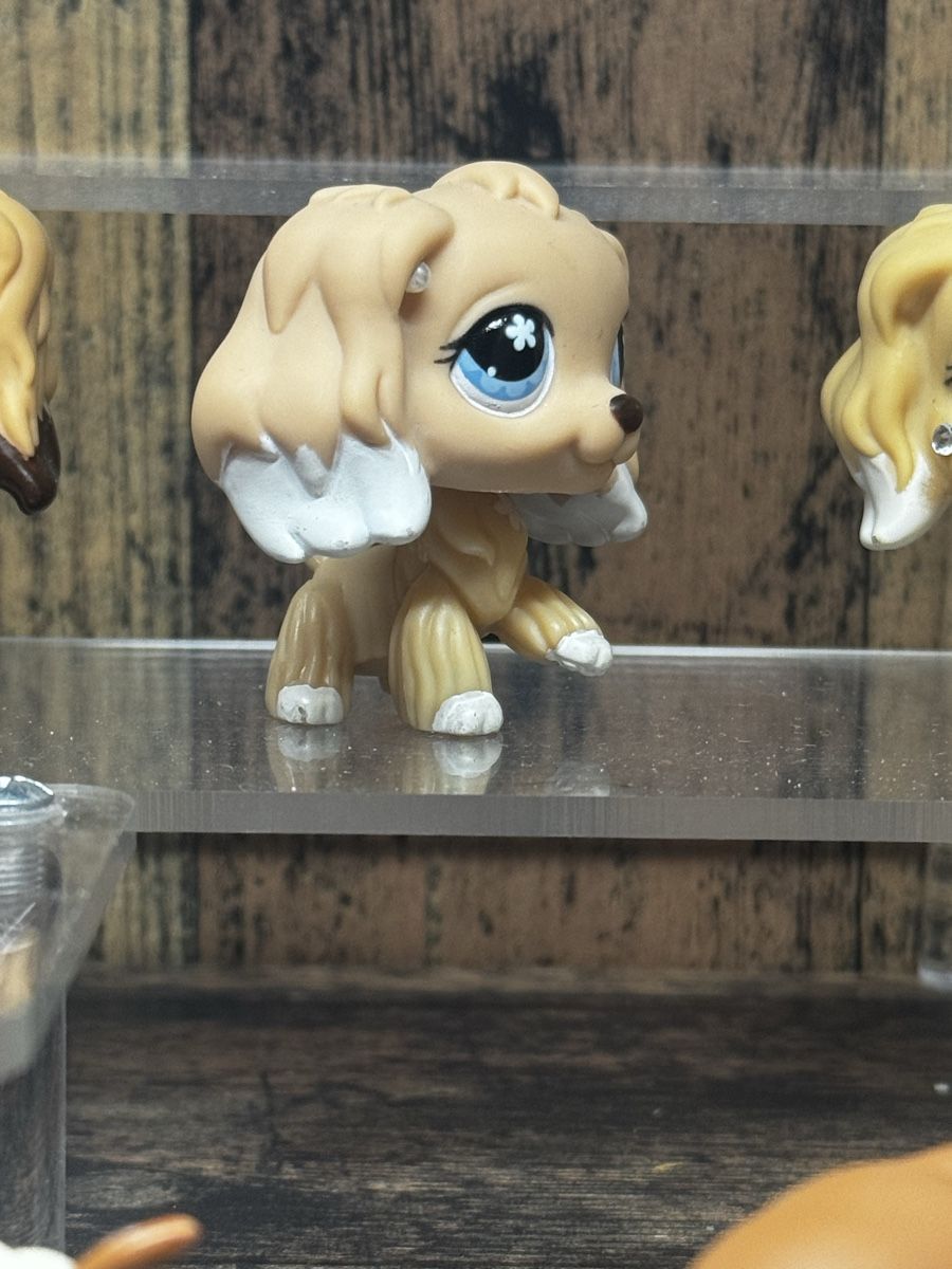 Hasbro Statuette: Littlest pet shop Cocker spaniel Australian exclusive – Usato da Luzern venduto da Maja.C 3