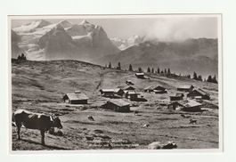 Ansichtskarte Brünig Hasliberg Balisalp 1939
