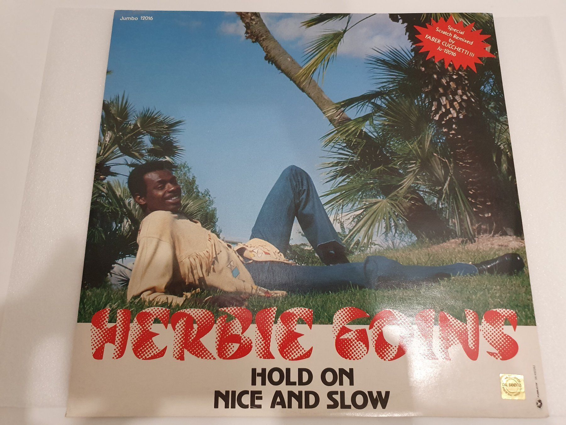 Vinyles: Herbie Goins - Hold On - Nice And Slow – D'occasion à Uster par Vinyl-Leidenschaft