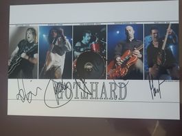 Gotthard - 20x30cm - persönlich gesammelt