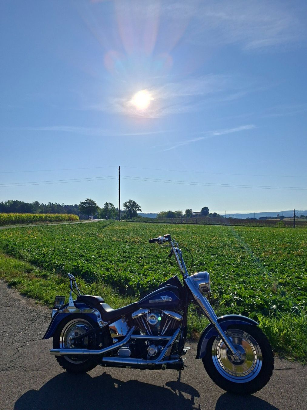 Harley-Davidson Touring: Harley Davidson Fat Boy  1340 Vergaser – Gebraucht aus Volketswil von LuckyandCandy 6
