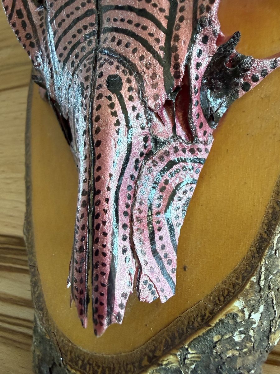 Tutte le decorazioni: Rehschädel handbemalt und Airbrush – Usato da Grenchen venduto da Bastet007 8
