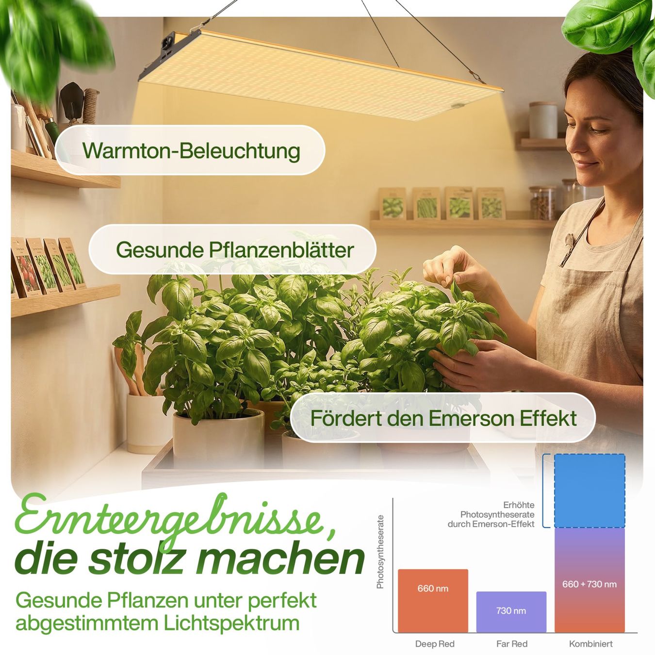 Lampen: Peralux QB-JT240 Quantum Board LED Grow Light Panel 240Watt – Neu und originalverpackt aus Rietheim von PeraLux 7