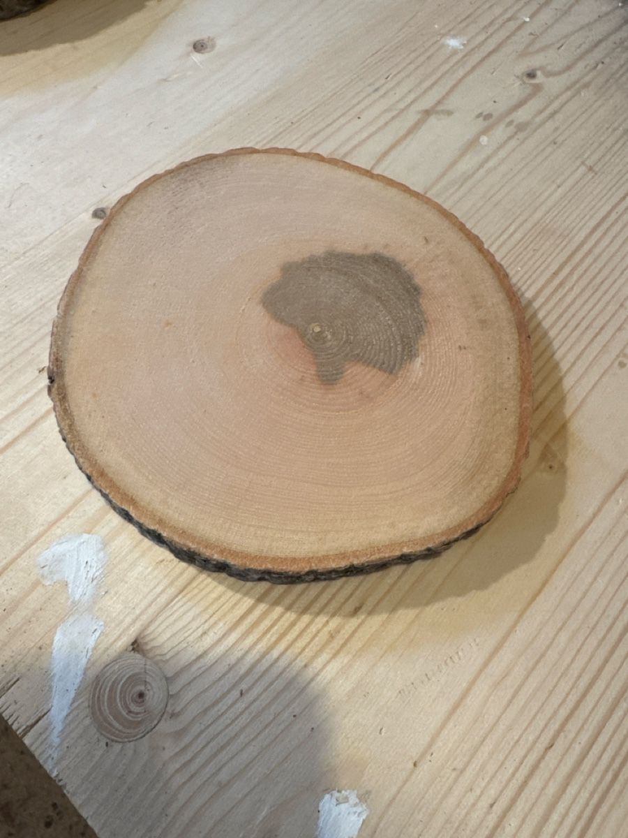 Articoli in legno: Holzscheiben – Usato da Brunnen venduto da Holz-style 3