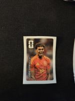 Panini Coca Cola