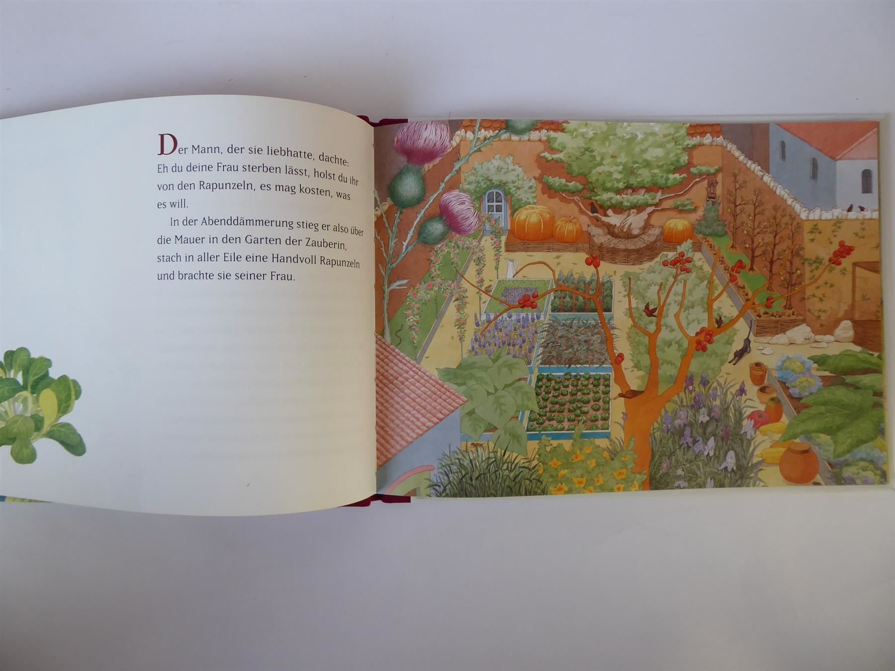 Libri: Märchen Buch Rapunzel, Brüder Grimm, neuwertig – Nuovo (secondo la descrizione) da Turbenthal venduto da TopToys 1
