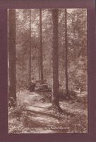 Le Sentier de la Petite GRYONNE - Villars-Chesières