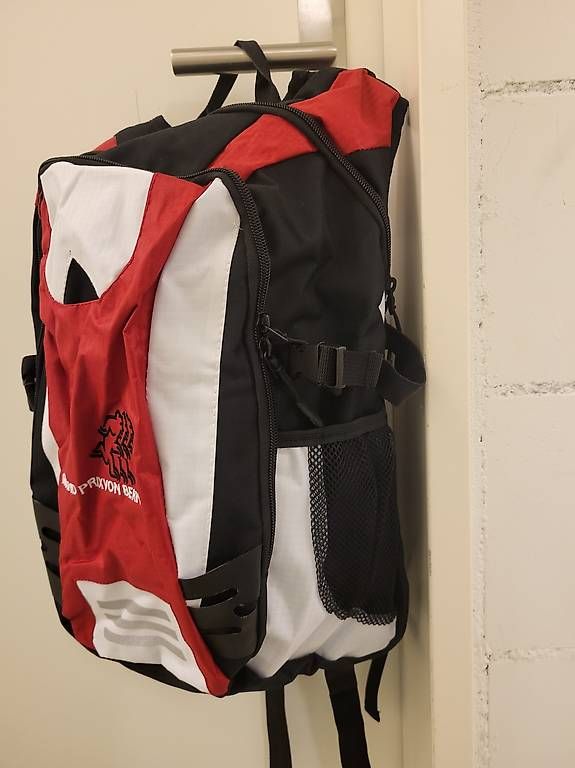 Rucksäcke: GP Bern Rucksack, neuwerig 20 L – Gebraucht aus Jegenstorf von Ladybug0525 3
