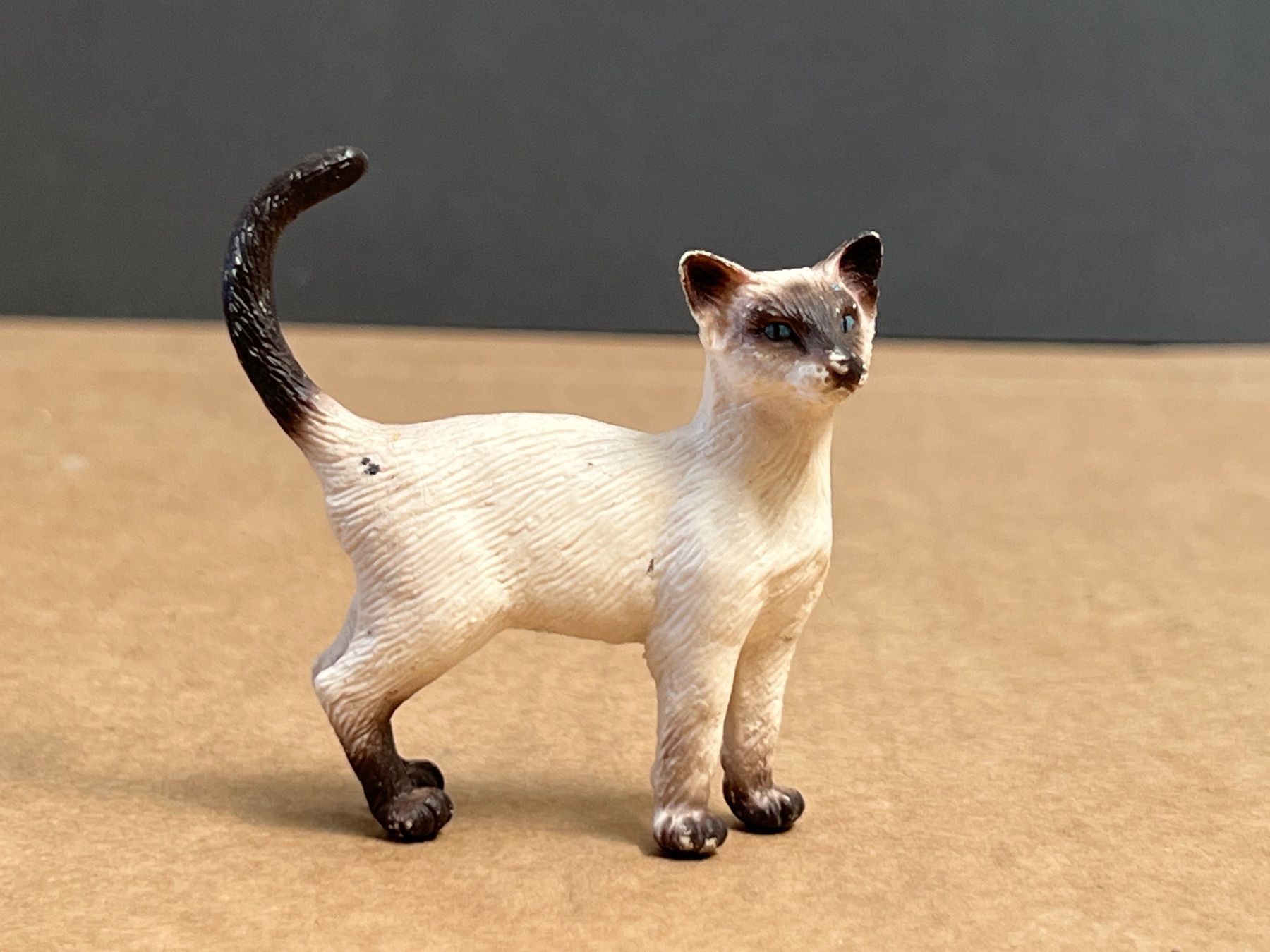 Schleich Statuette: Schleich 16653 Siam Katze Siamkatze – Usato da Ennetbaden venduto da mapa05