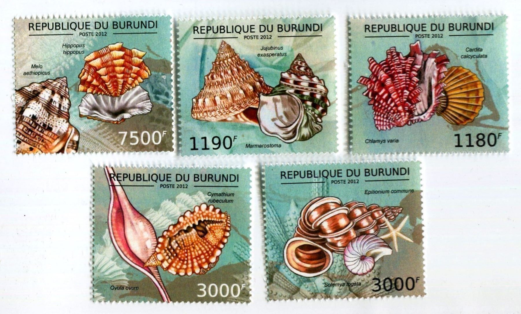 Tutti i francobolli: Briefmarken "Muscheln". Burundi. – Nuovo e nell'imballaggio originale da Basel venduto da Butsch5