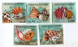 Briefmarken "Muscheln". Burundi.