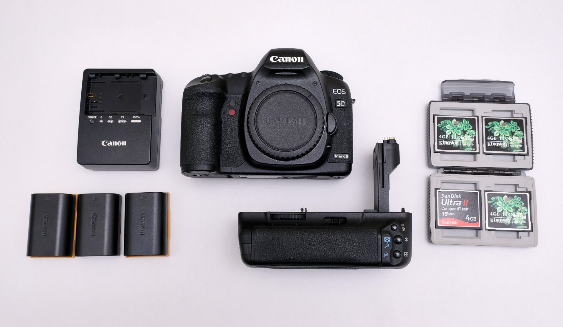 Canon Fotocamera: Canon EOS 5D Mark II Kit in excellent working condition – Usato da Thonex venduto da vil_t229