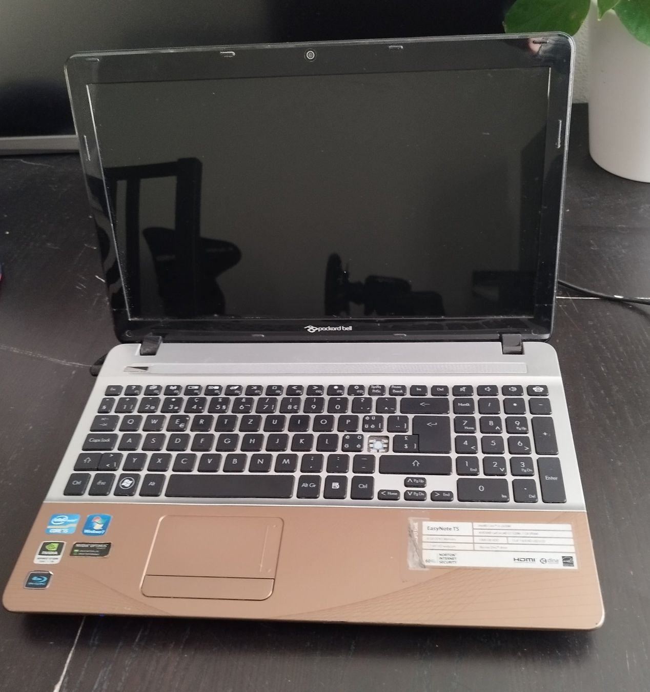Notebook: Packard Bell EasyNote TS Laptop 15.6" – Usato da Walkringen venduto da ani_6bgd 1