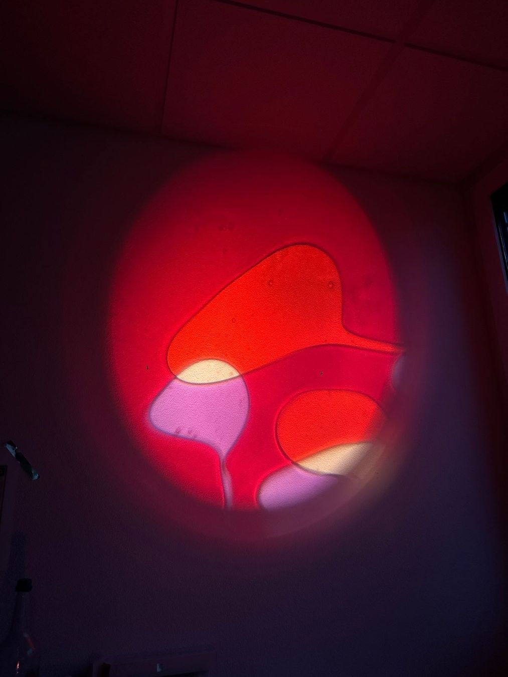 Mathmos Lampen: Mathmos Space Projector – Original Liquid Light Projektor – Gebraucht aus Wallisellen von shiwacat 1