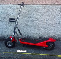 E-Scooter, Elektro-Trotti