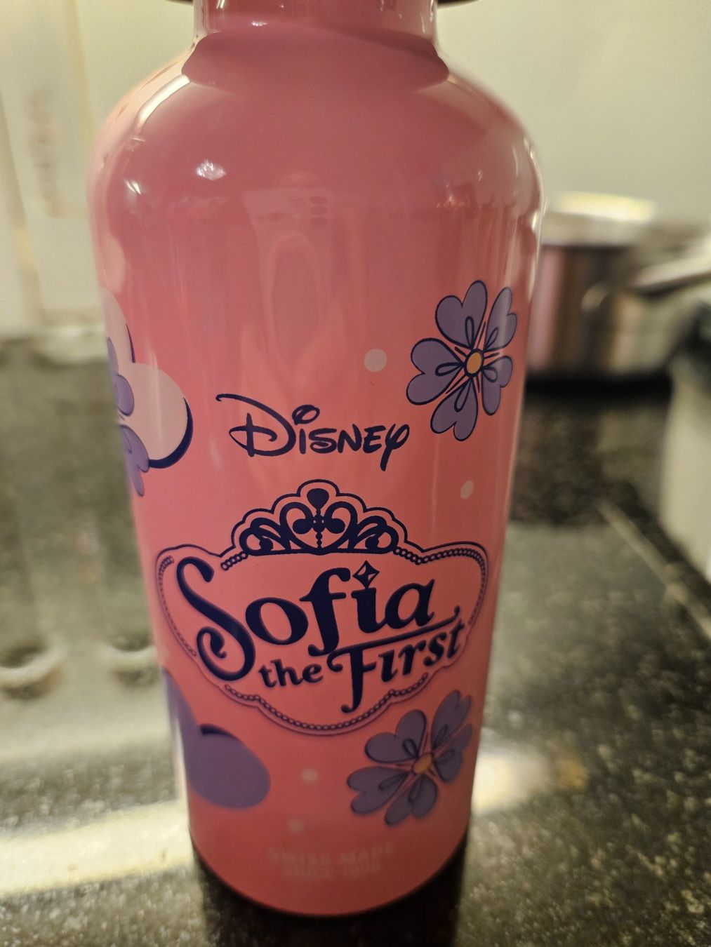 Sigg Borracce & Thermos: Sigg KBT Disney - SOFIA the first - NEU – Nuovo (secondo la descrizione) da Niederbipp venduto da FeenWERK