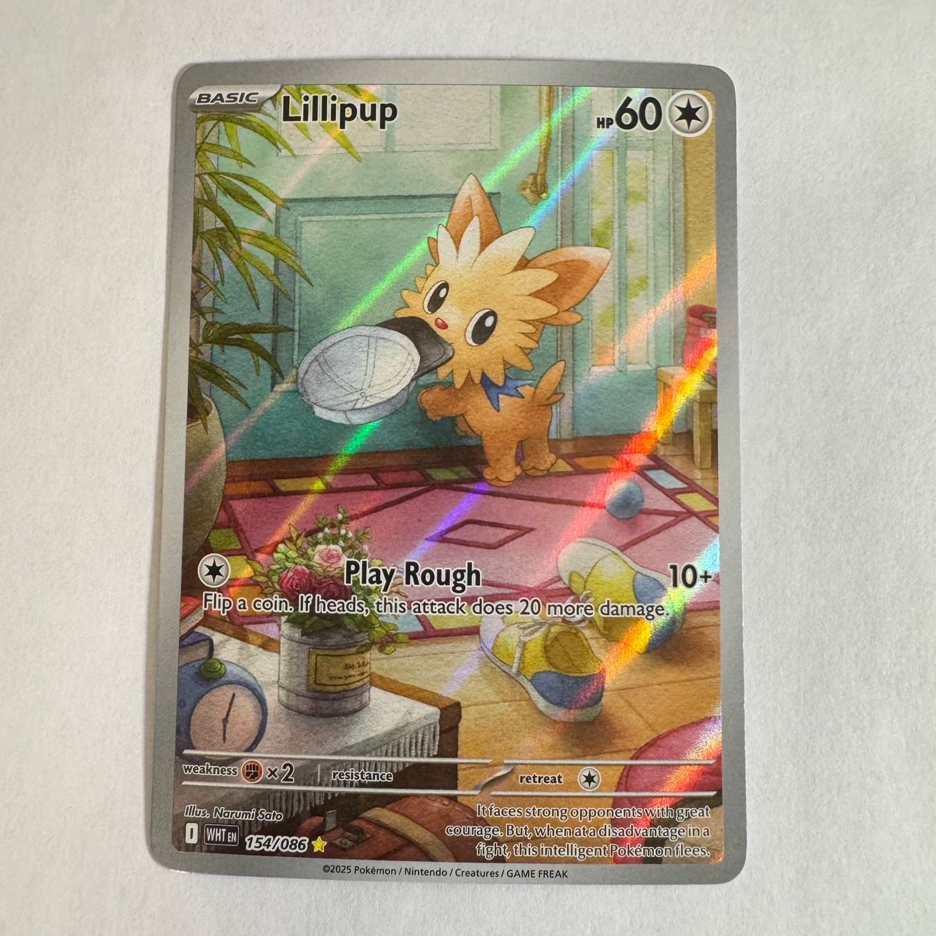 Pokémon Carte collezionabili: Pokémon WHT - Lillipup - 154 / 86 - ENG – Nuovo (secondo la descrizione) da Staad SG venduto da miaCards