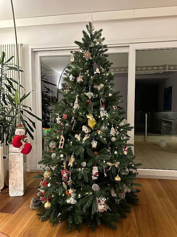 Alle Dekorationen: Albero di natale – Gebraucht aus Castagnola von ste_w6fj 1