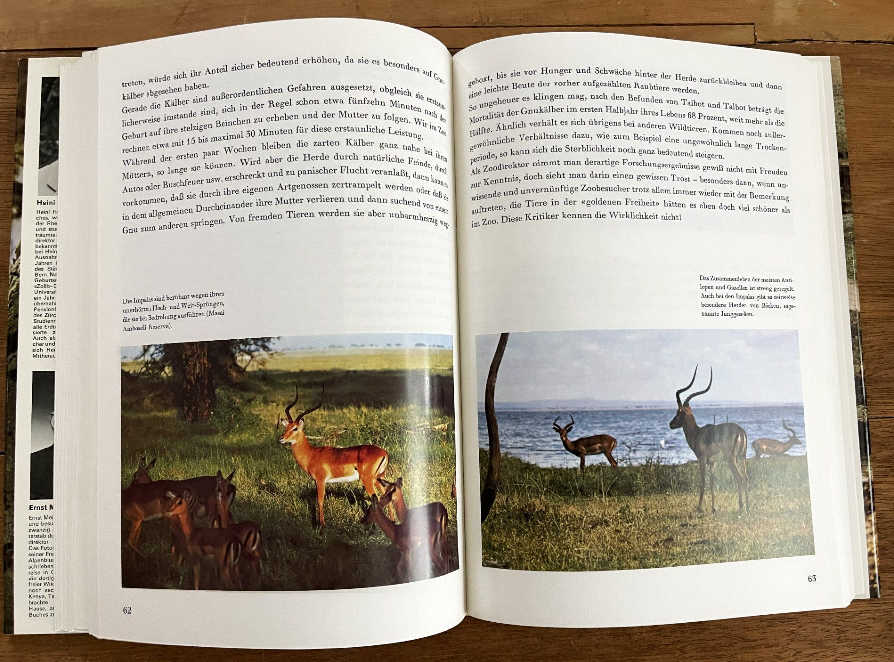 Bücher: Silva Verlag, Zoo Ostafrika, 1966 – Gebraucht aus Oftringen von Vucki 8