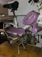 motorino legnano