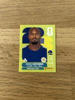 Panini CUW 19