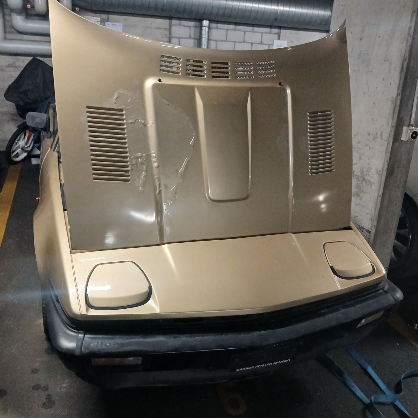 Triumph Automobili: Oldtimer Triumph TR7 JG. 1981 Cabriolet – Usato da Balsthal venduto da redcarpet 8