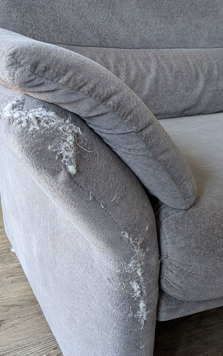 Divani: Sofa-set Grau – Usato da Wald ZH venduto da lej_c7rk 6
