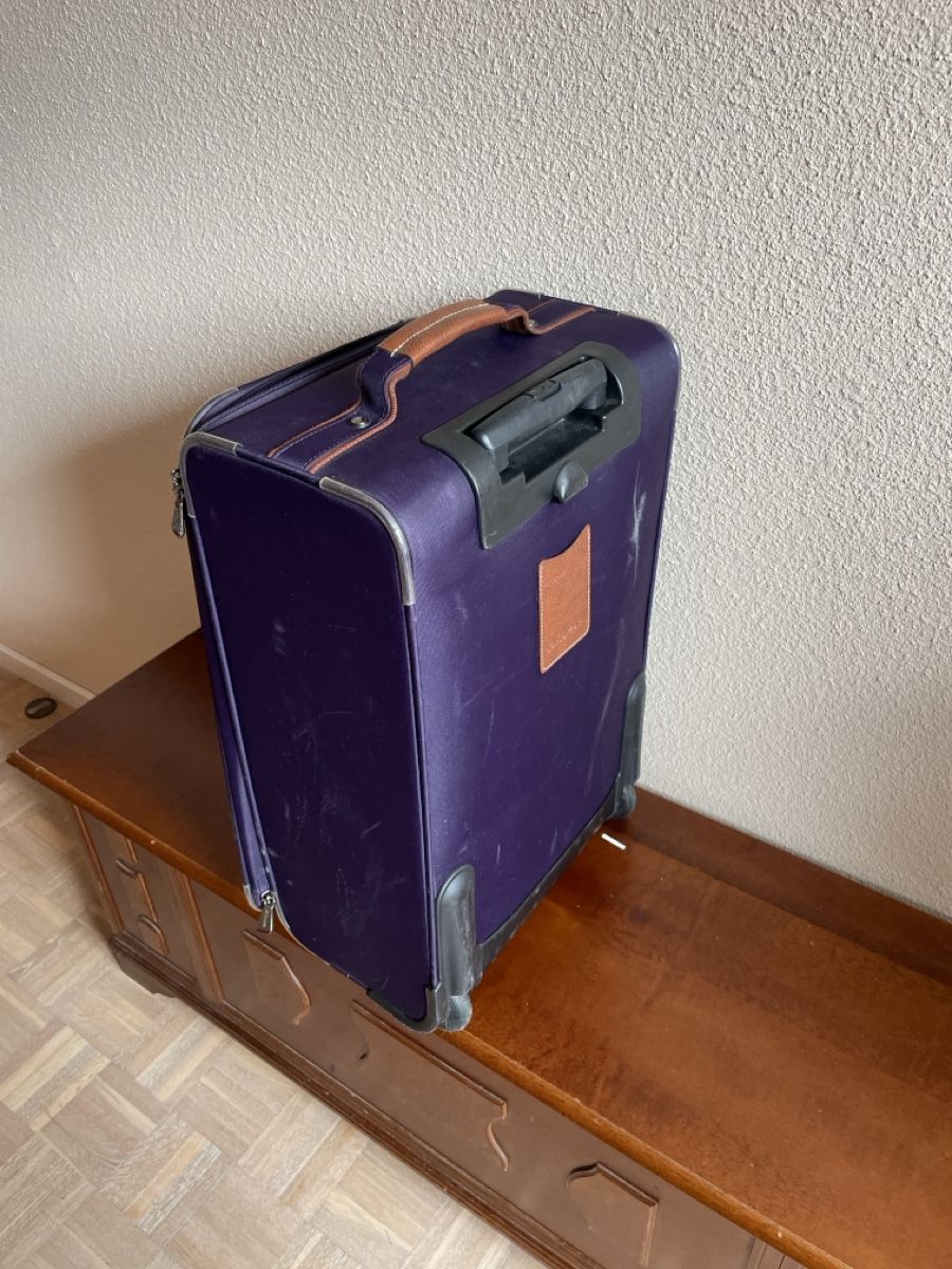 Longchamp Valigie: Valise marque Lonchamp – Usato da Sion venduto da aud_96b6 2