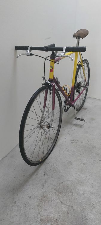 Biciclette: Rennvelo  – Usato da Bülach venduto da panddell 2