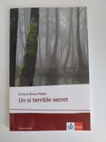 un si terrible secret - Évelyne Brisou-Pellen