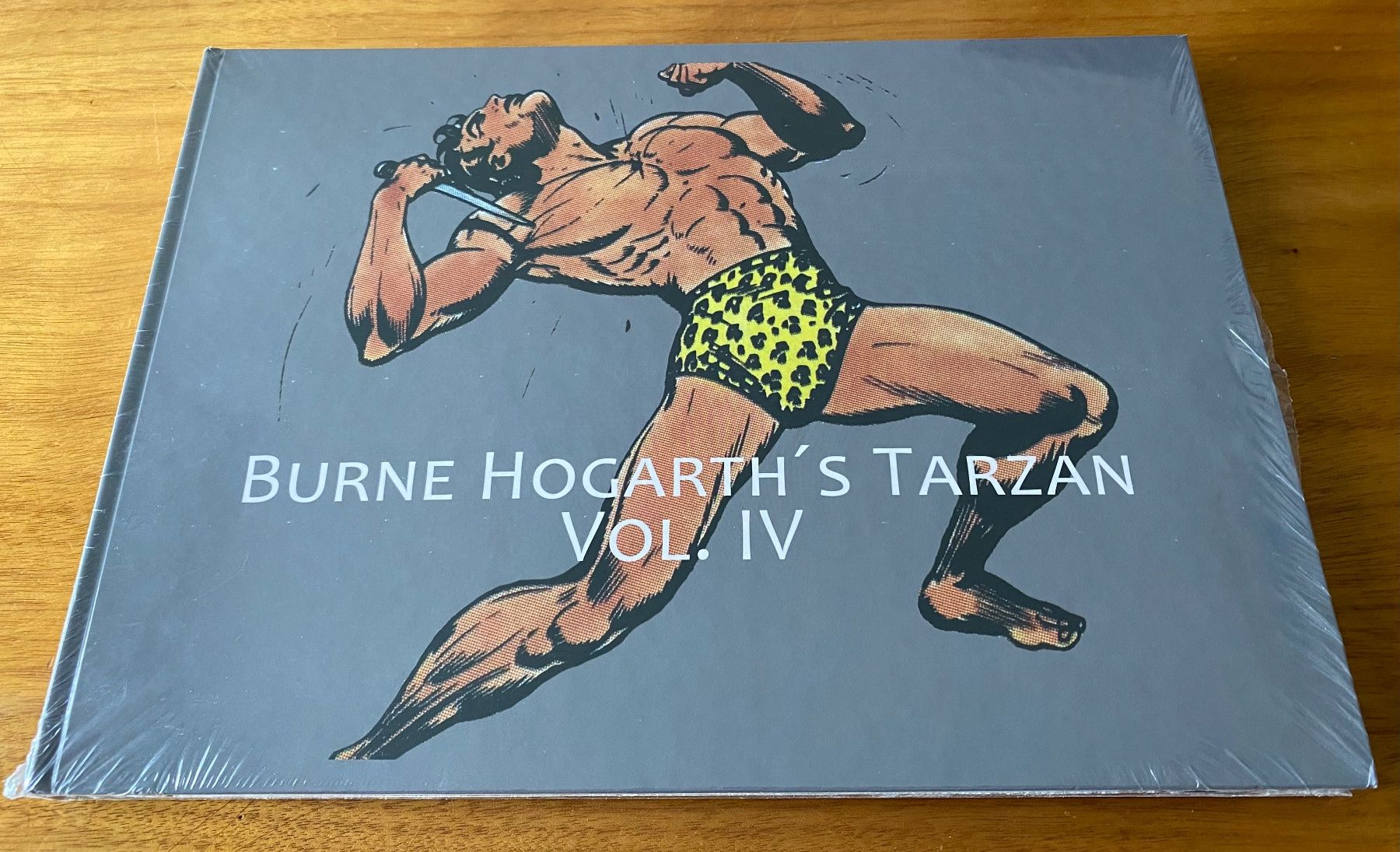Fumetti: Burne Hogarth's Tarzan Vol. 1 bis 4 – Usato da Münsingen venduto da kempes 3