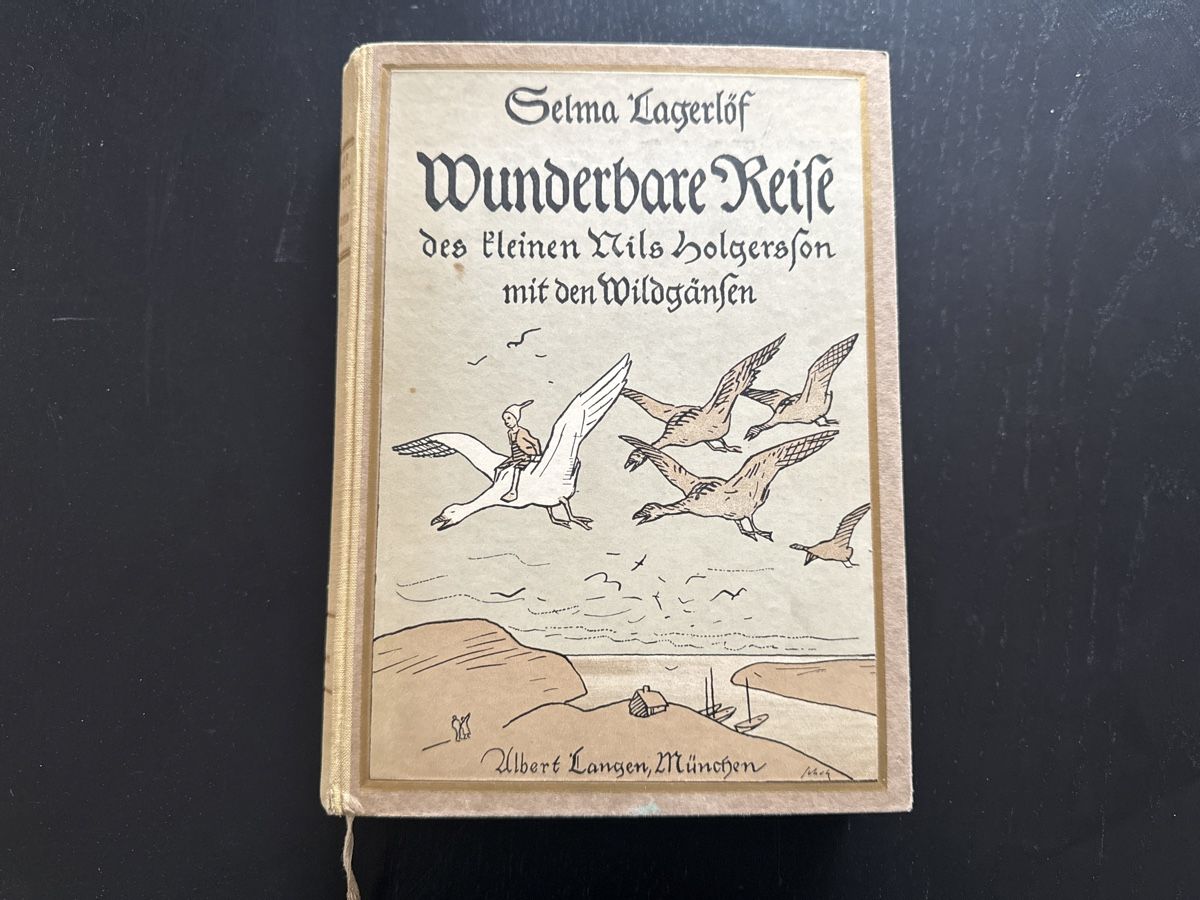 Libri: Wunderbare Reise – Usato da Erstfeld venduto da Uhu1980